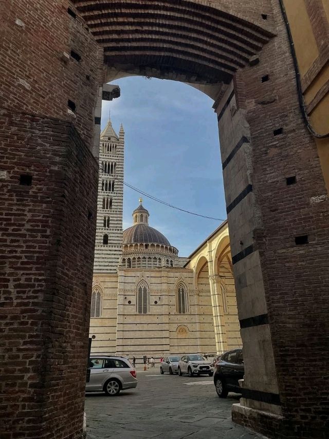 Sunny Fall Escape🍁