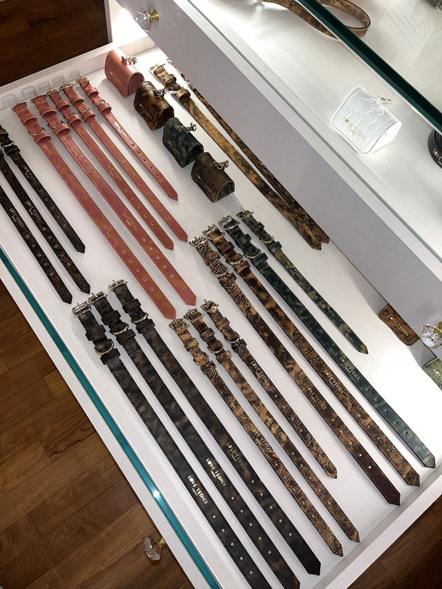 Шопинг во Флоренции: версия для собачников Шопинг во Флоренции: версия для собачников