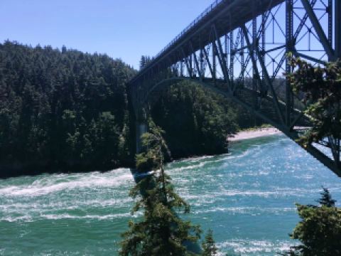 翡翠擁抱：龐克風與全球光芒的交融🇺🇸