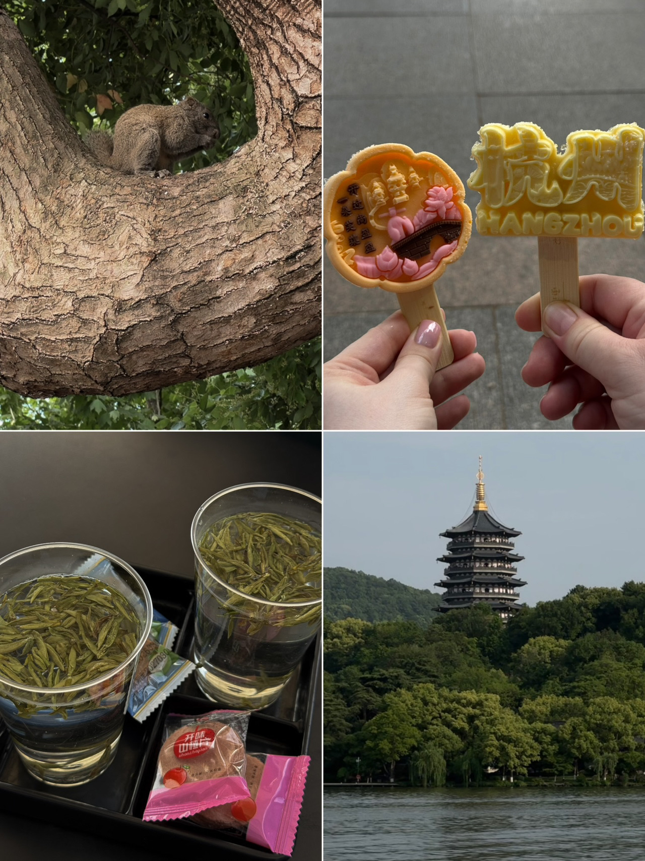 Hangzhou in One Day? Save This Itinerary: 4 Tried-and-Tested Spots.