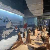 Underwater world Aquarium 