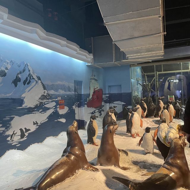 Underwater world Aquarium 