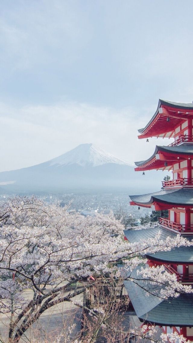 March, go to Japan to enjoy cherry blossoms.