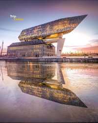 Visit The Port House in Antwerp with us