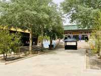 Peaceful and Relaxing Place in Dunhuang 