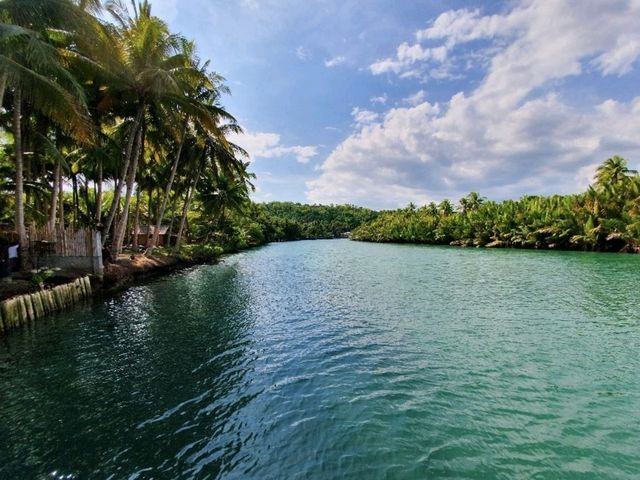 A MUST Cruise Along Loboc River! 🇵🇭