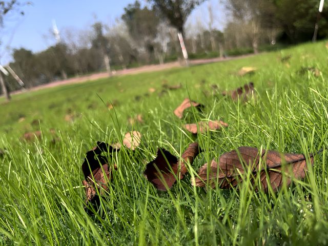 上海本地人都不知道的申園 上海本地人都不知道的申園