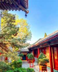 你的風追到了廣濟寺