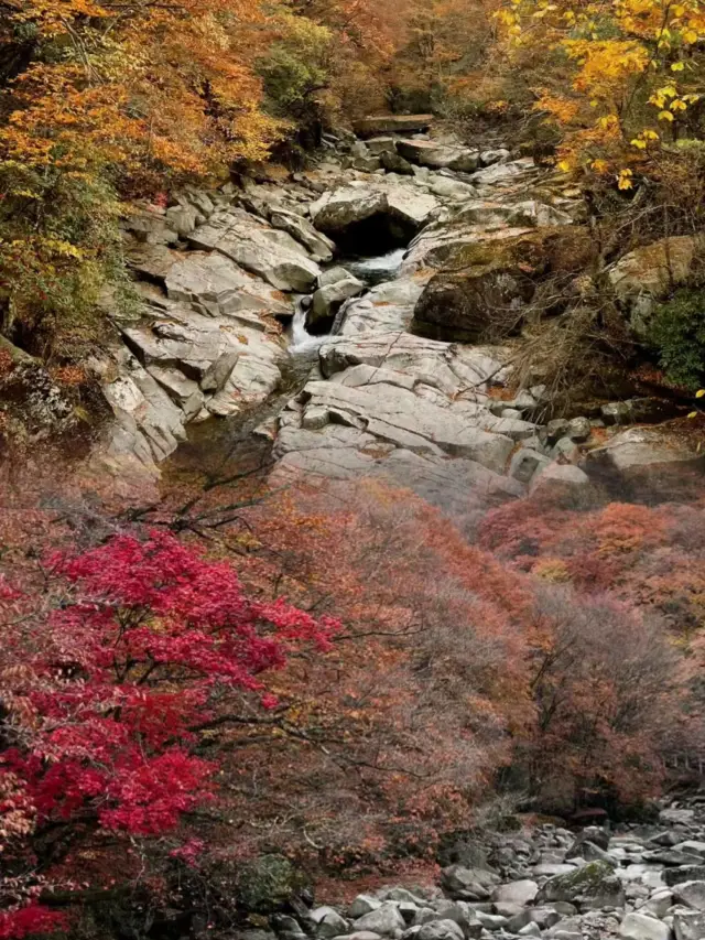 It's really Guangwushan! Is it a fairyland?