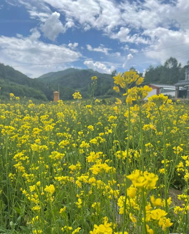 甘肅定西老君山