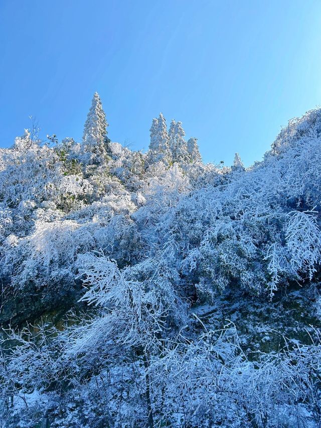 雙牌陽明山：自然風光的享受之旅