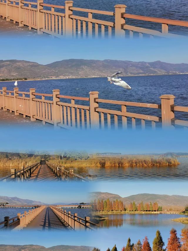 異龍湖