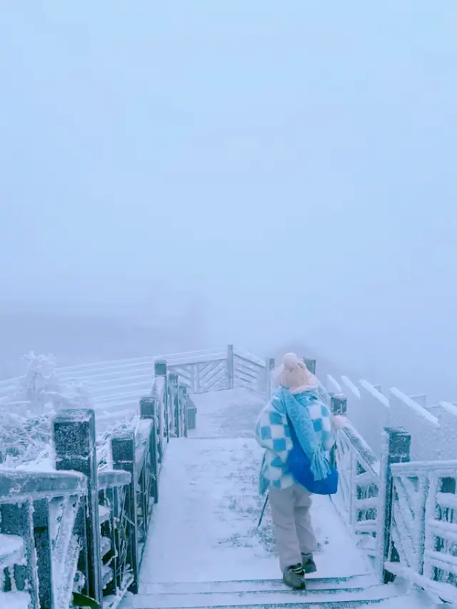 이게 너무 북동쪽이라 광동에서 눈을 보다니! 아름다워서 울었습니다