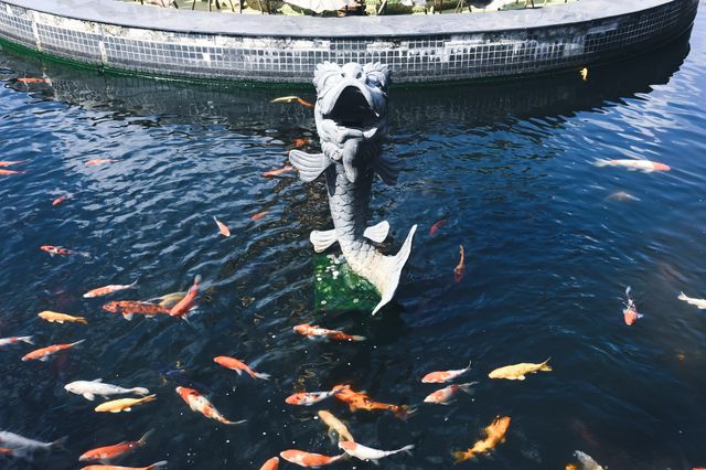 上海東林寺攻略