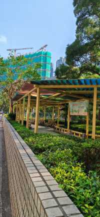 【暴走香港】從又一城到香葉道，打卡金華冰廳菠蘿包～