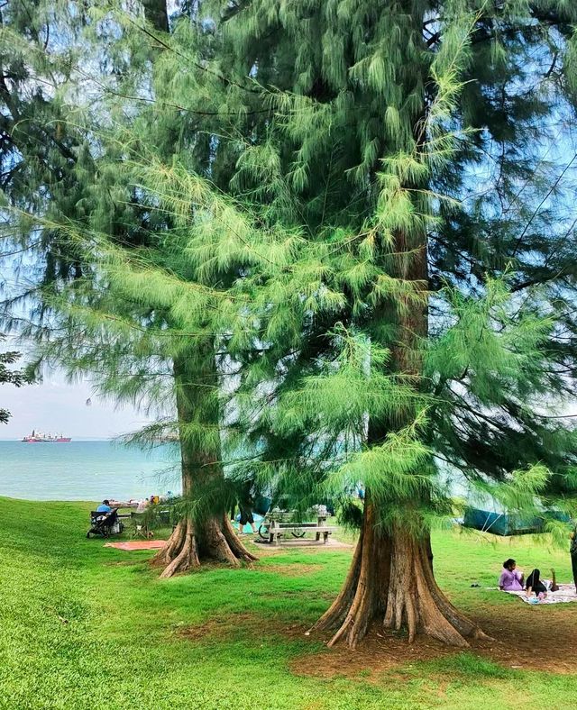 東海岸太美了 聽海浪的聲音