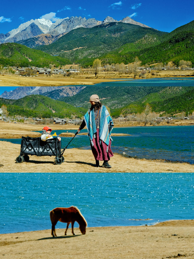 去了麗江5次，我找到了這個玉龍雪山下的靜謐村莊 湖泊，草地，雪山牛羊 是我夢想中的油畫景色