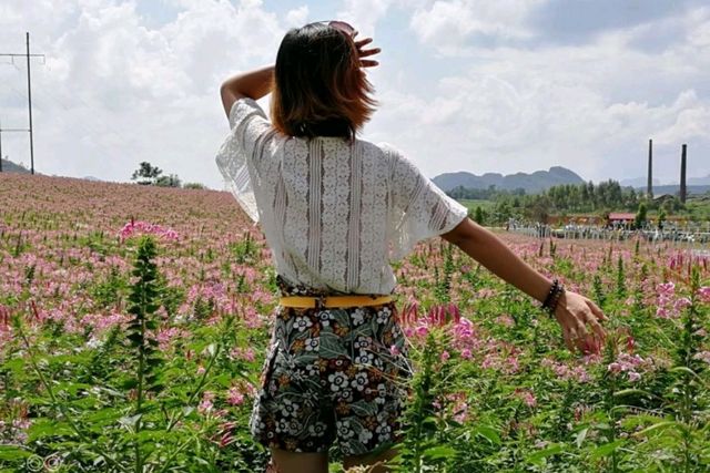 花的海洋，忻城薰衣草莊園！