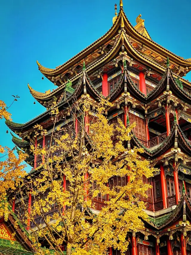 Global Autumn Chasing | Enjoy autumn at Hongen Temple in Chongqing