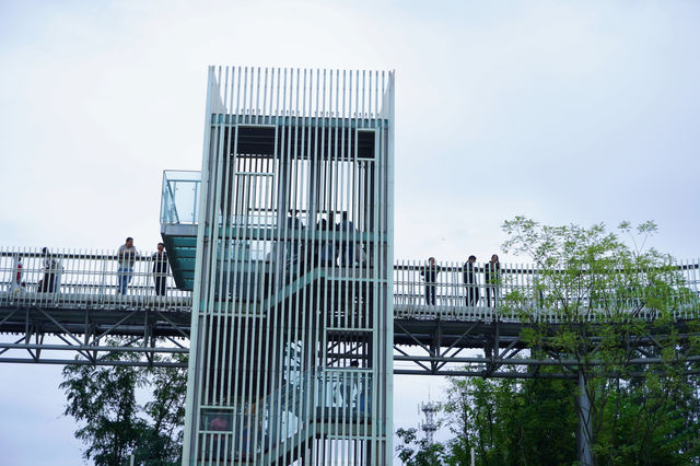 成都的森林高空棧道免費開放啦，帶上喜歡的人一起去雲中漫步吧