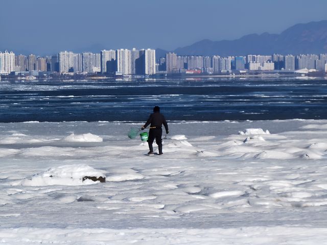 整個海都凍住了！