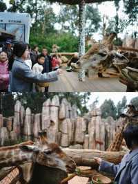 雲南野生動物園！超詳細攻略！