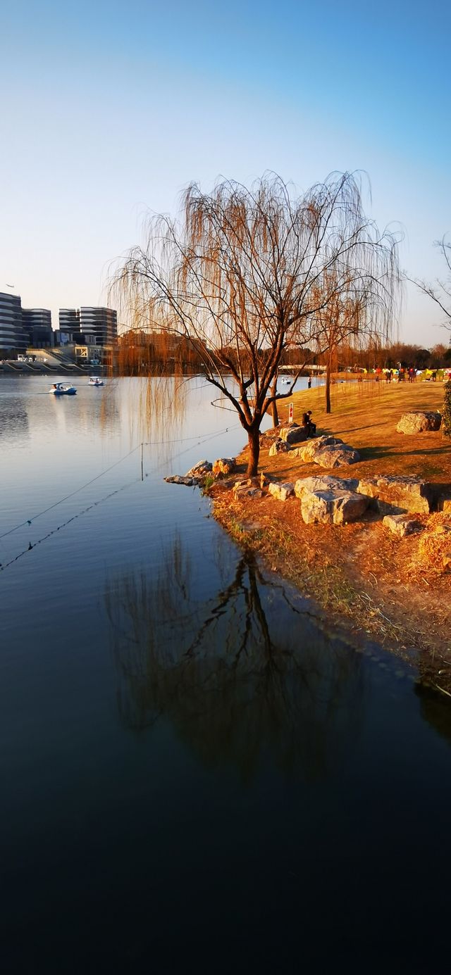 閔行文化公園