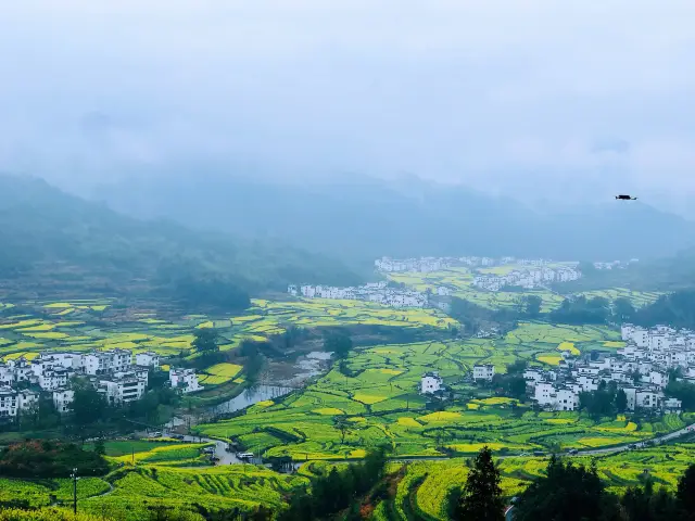 遇見——婺源，油菜花帶給的浪漫