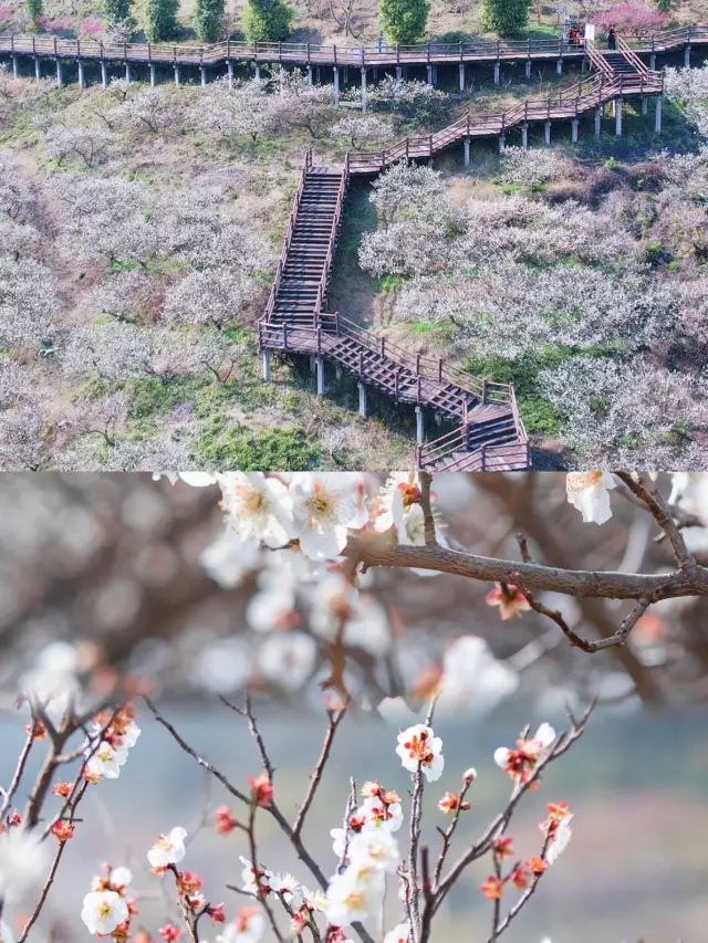 原鄉小鎮冬天巨好看的景色~原鄉小鎮旅遊攻略原鄉小鎮是一個