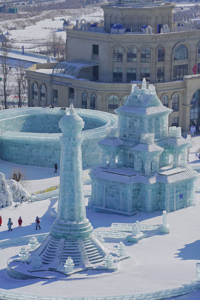 四川小熊猫勇闯冰雪大世界