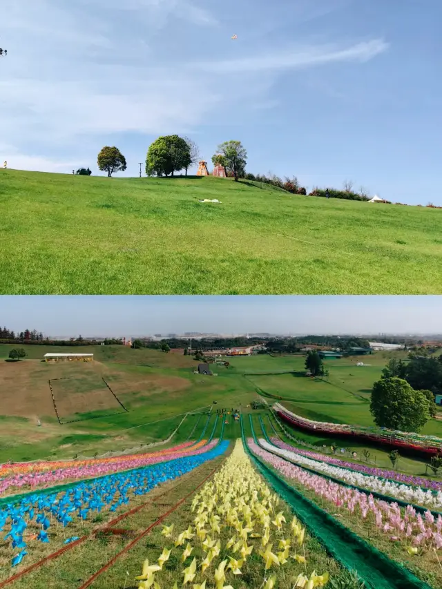 Huzhou Feihong Grass Skiing
