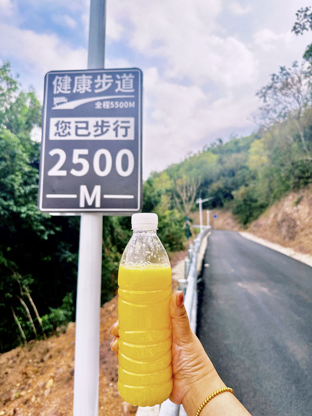 龍年新年｜三亞臨春嶺森林公園環山步道