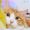 Reed_Daphne_62