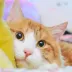 Reed_Daphne_62