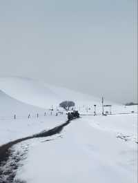 下雪的鳴沙山太美辣敦煌鳴沙山月牙泉攻略來啦