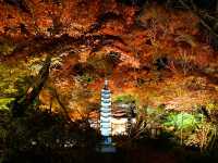 打卡京都寶嚴院