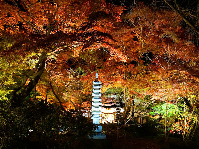 打卡京都寶嚴院