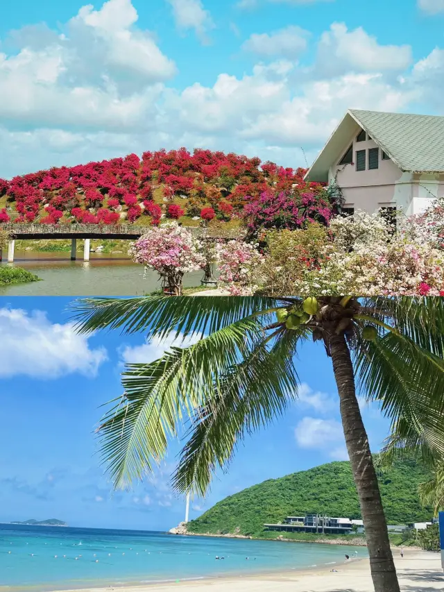 海南之旅：這幾個地方，讓我忍不住想再去一次！