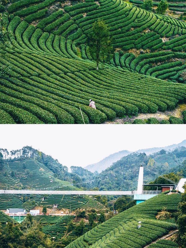 貴州 | 藏在喀斯特地貌裡的千年古鎮