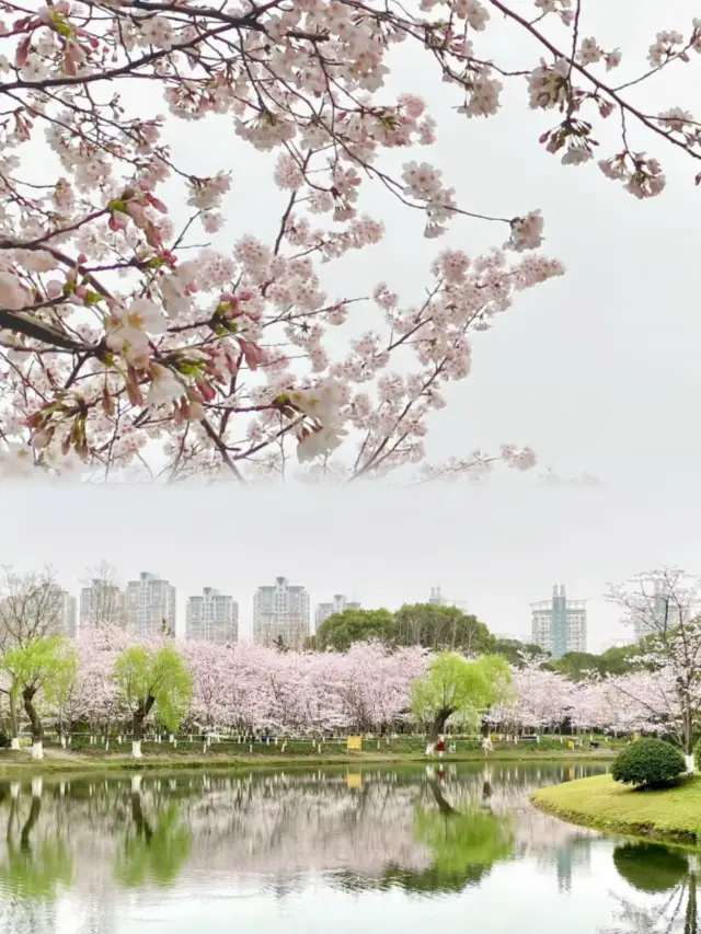 魔都の美しい公園がいくつかあり、本当に素晴らしいです