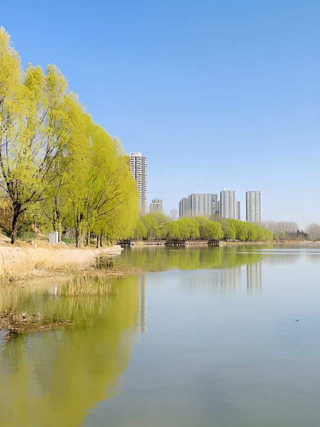 鄭州踏春好時節｜西流湖公園梅花正當時