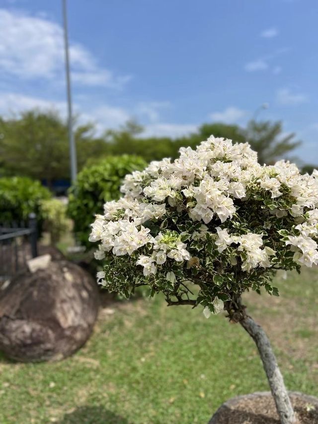聖亞納教堂-感受安寧祥和的好去處