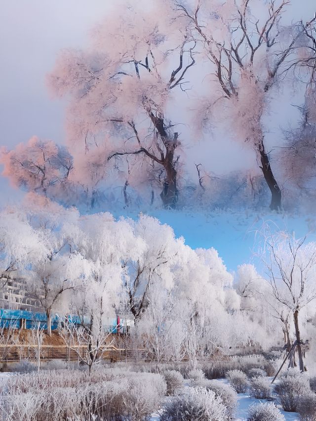 前往中國雾凇仙境第一島，只為定格這份冰雪之美