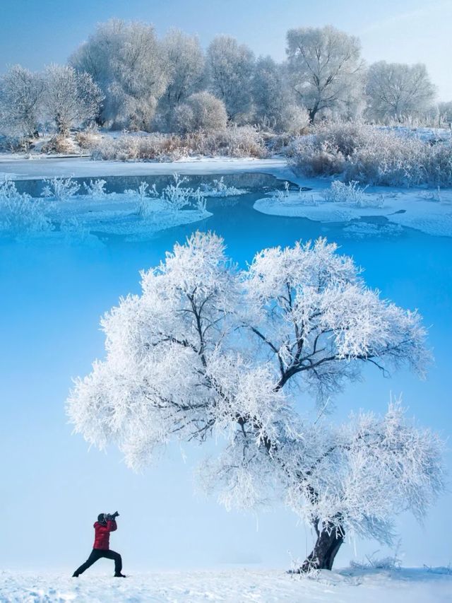 前往中國雾凇仙境第一島，只為定格這份冰雪之美