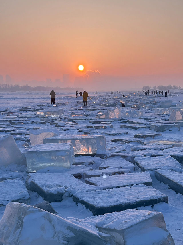 北國好風光盡在黑龍江｜東方小莫斯科的冰雪奇緣