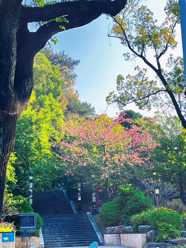 廣東江門｜新會北園公園｜（₍₍ ᕕ⍢⃝ᕗ⁾⁾廣東周末假期