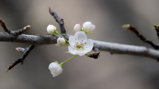 2024年3月15日 成都-金川