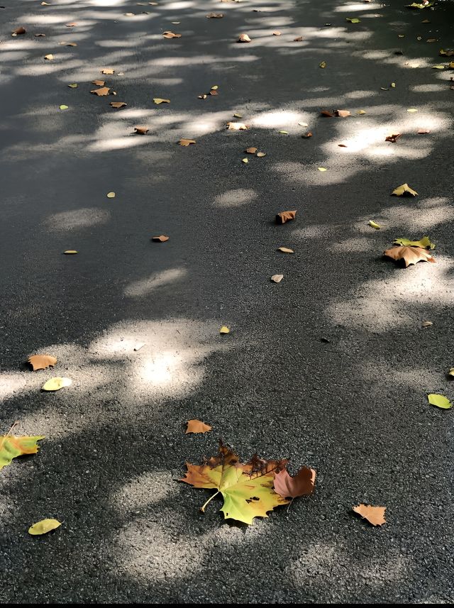 太陽出來，公園裡踩滿了人