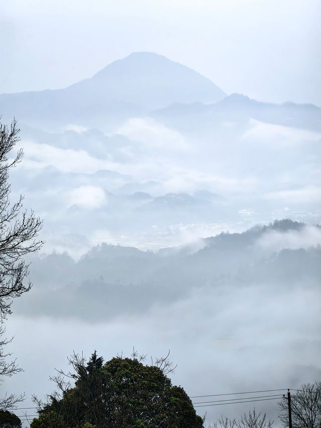 雲瀰漫茶山，安徽小眾景點休寧金龍山雲上茶園裡度假酒店