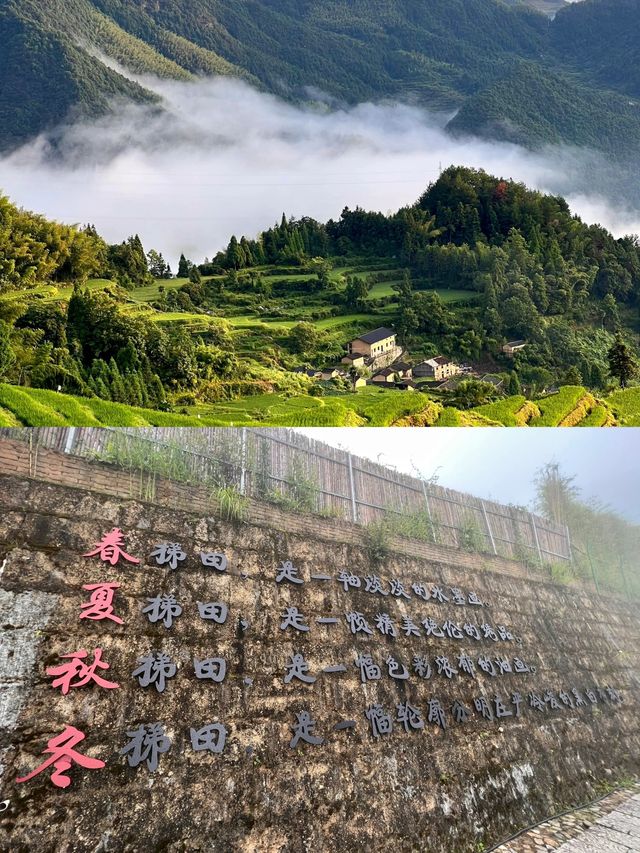 接下來的雲和梯田，是賞日出雲海的天花板